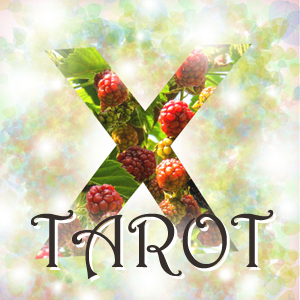 タロットカード